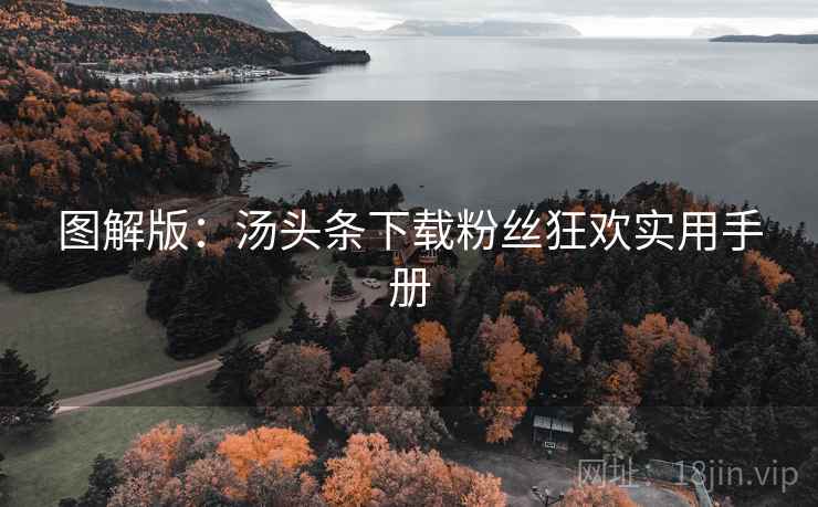 图解版：汤头条下载粉丝狂欢实用手册