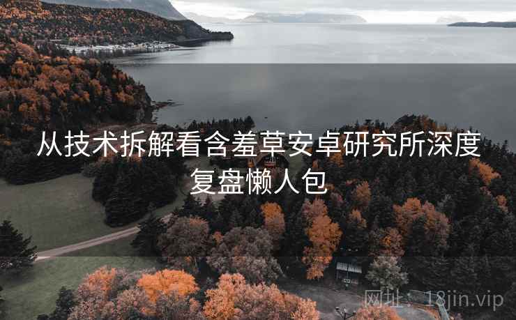 从技术拆解看含羞草安卓研究所深度复盘懒人包