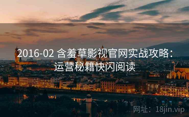 2016-02 含羞草影视官网实战攻略：运营秘籍快闪阅读
